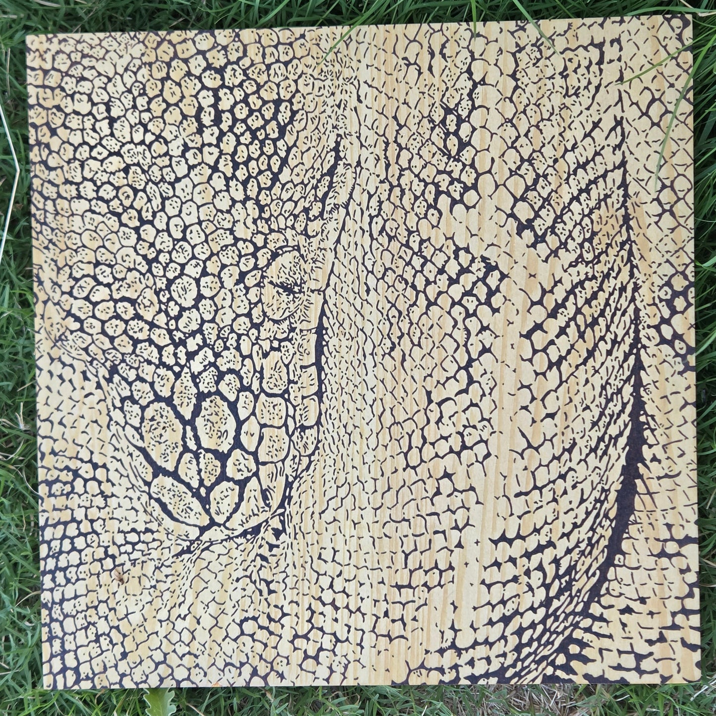 Boa snake burned into wooden cavas, resting on grass
