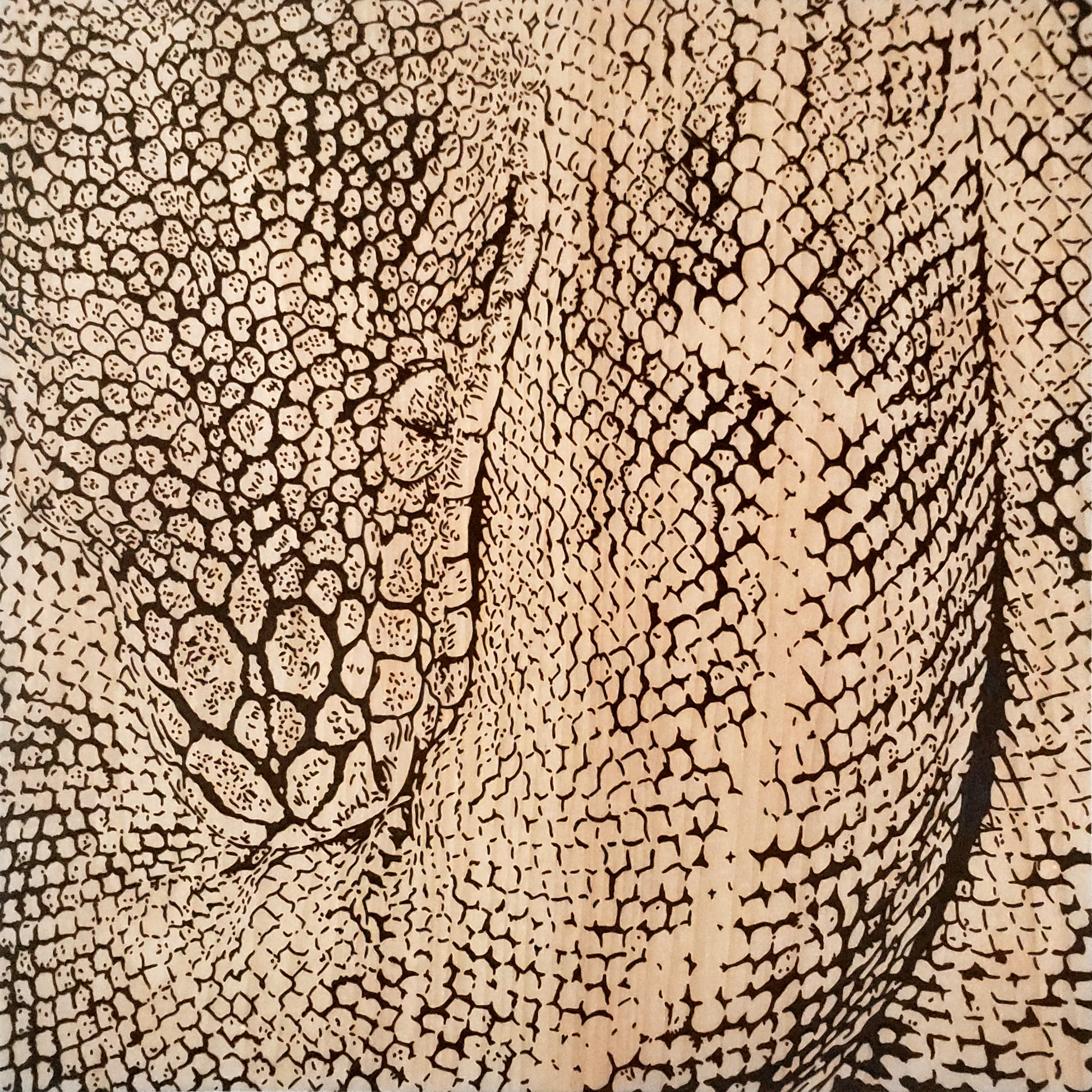 Close-up photo of boa snake woodburning