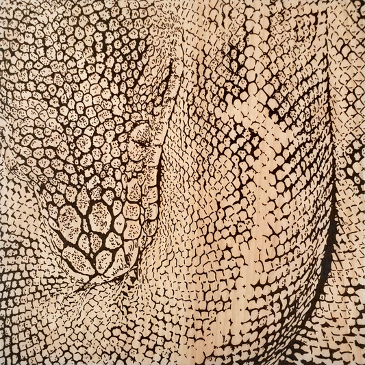 Close-up photo of boa snake woodburning