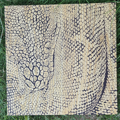 Boa snake burned into wooden cavas, resting on grass
