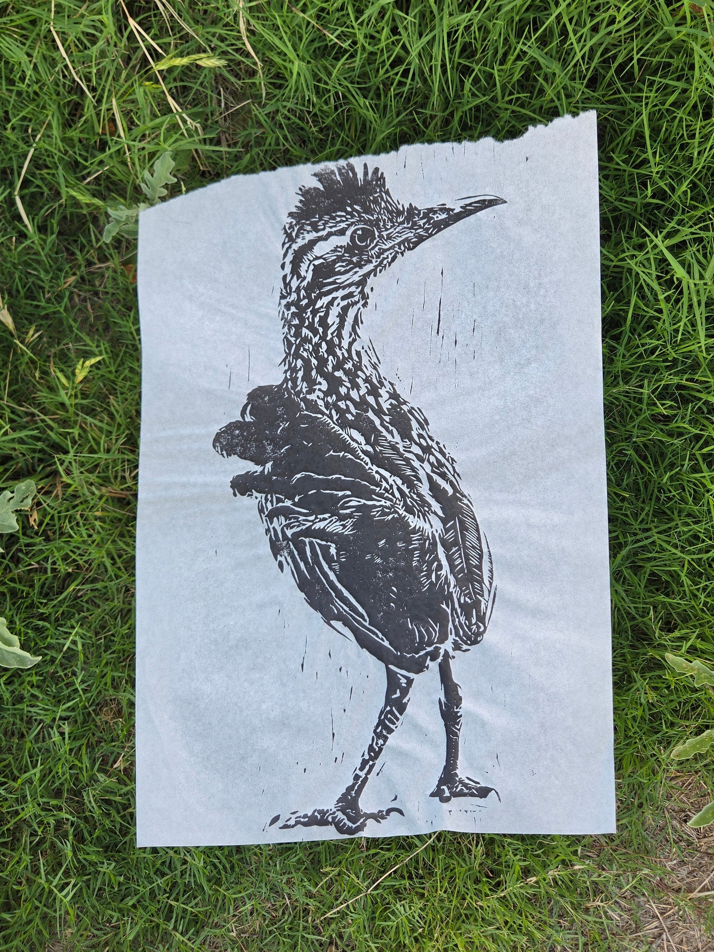 Roadrunner Misprint - Torn rice paper - 12x18 inch linocut print