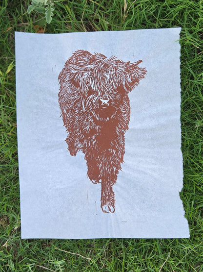 Highland Cow - 8x10 inch linocut print