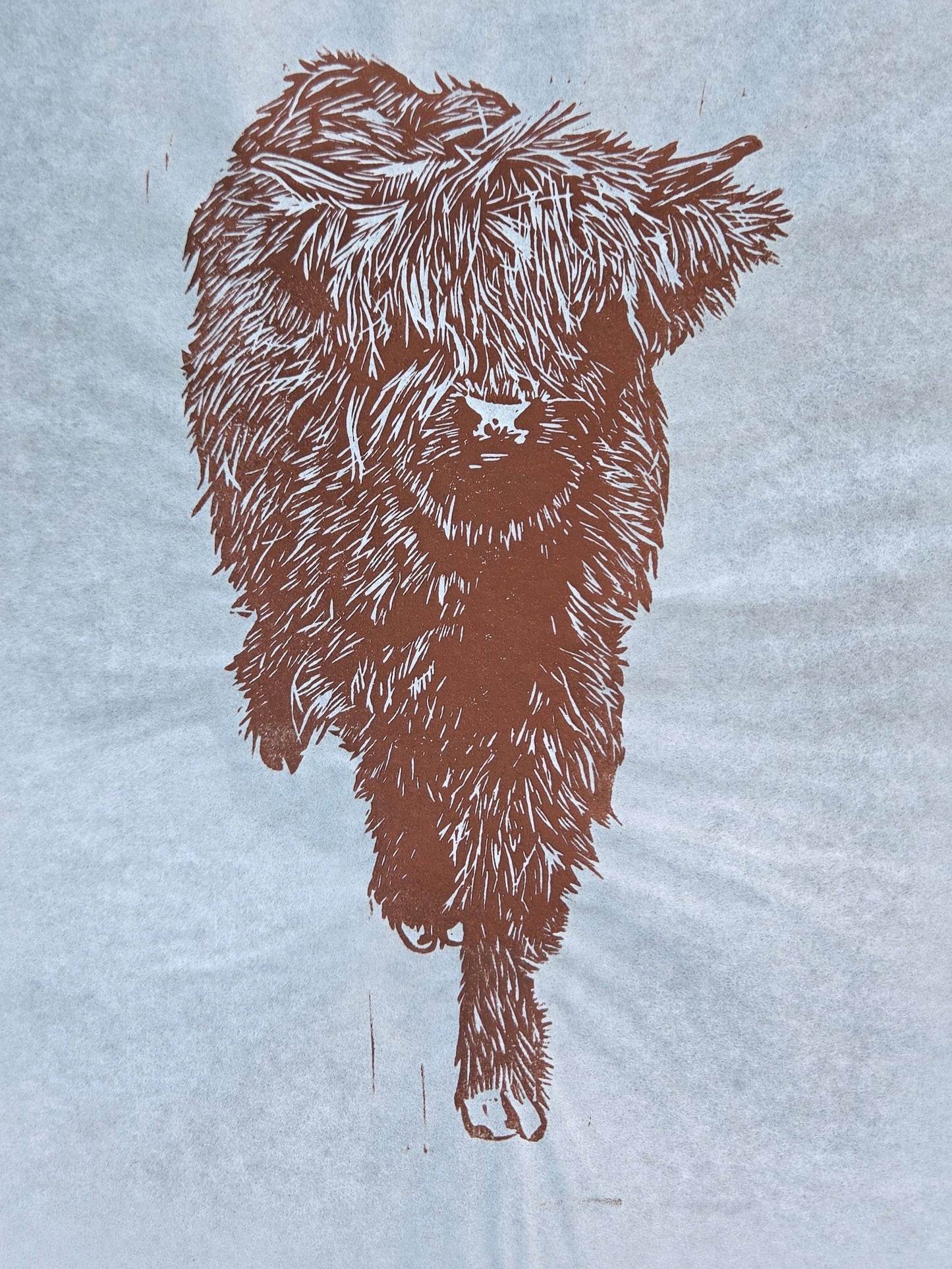 Highland Cow - 8x10 inch linocut print