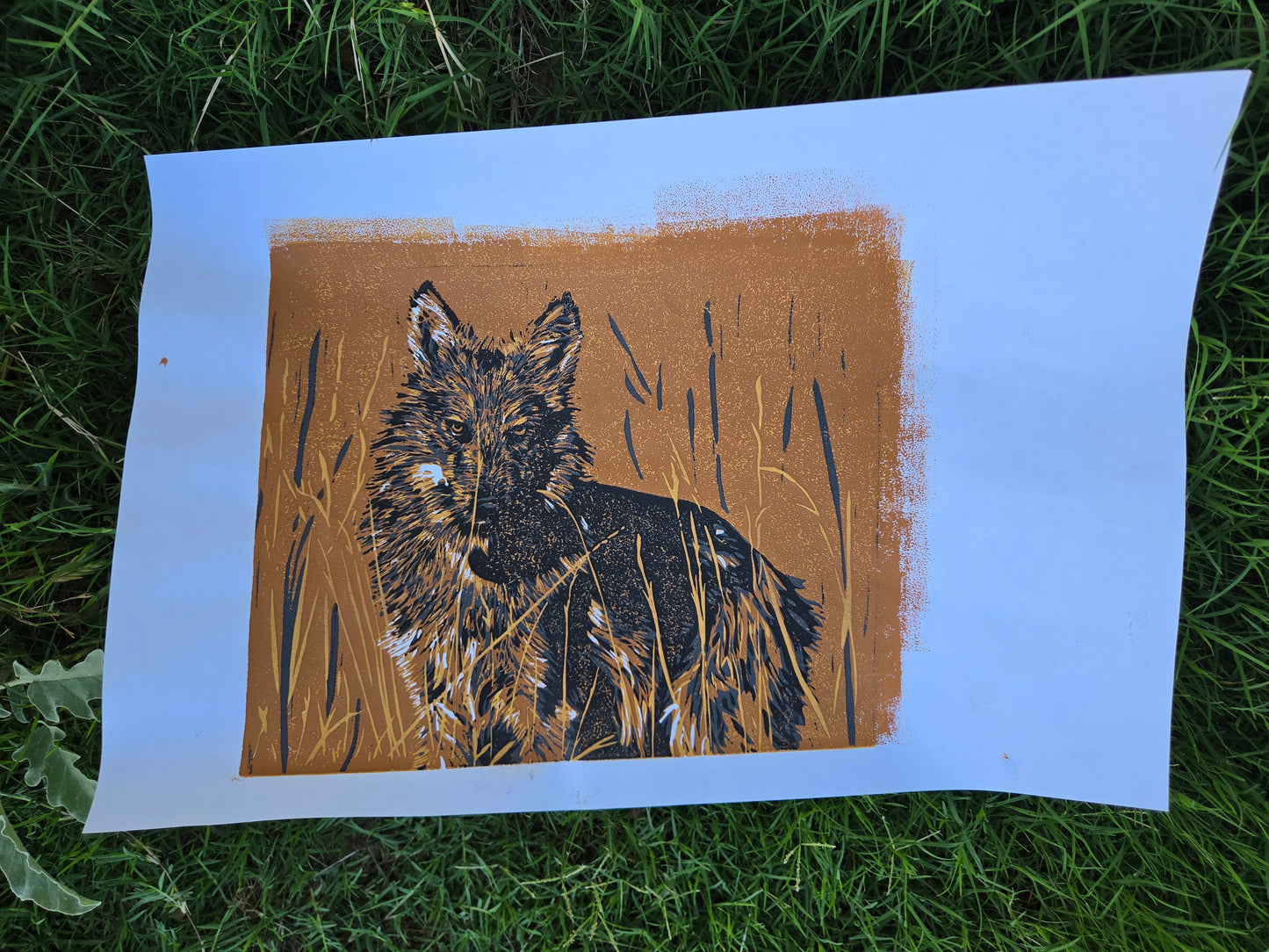 Lycas Unframed 1 - 9x11 inch Reduction Linocut Print