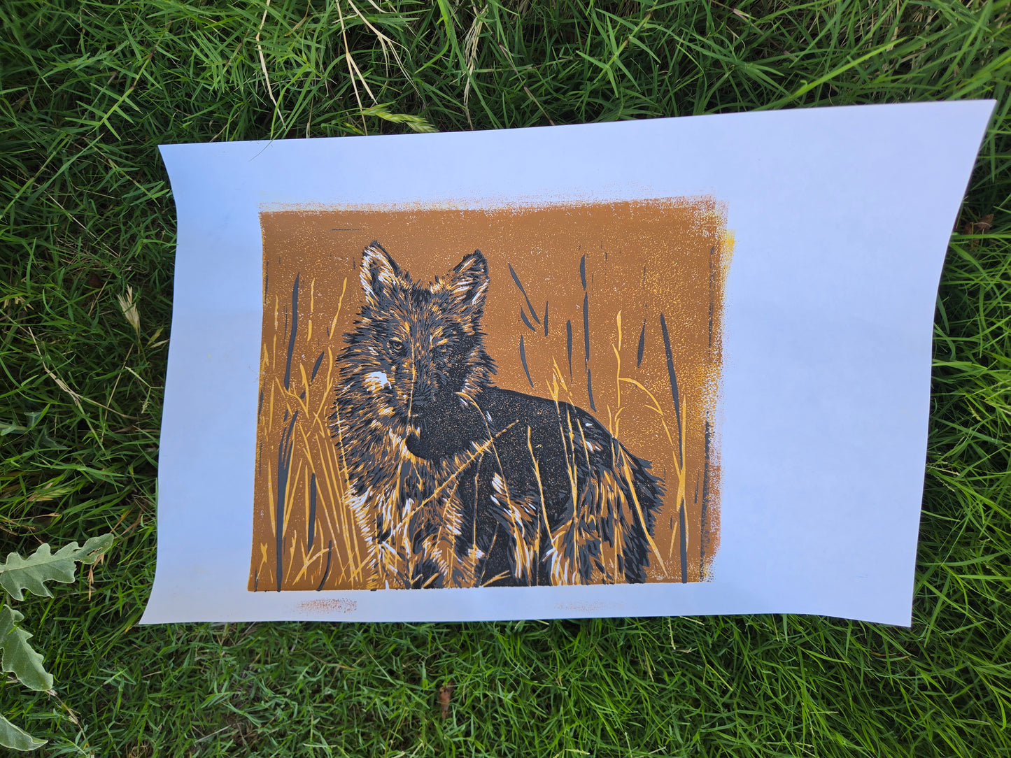 Lycas Unframed 2 - 9x11 inch Reduction Linocut Print