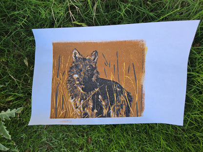 Lycas Unframed 2 - 9x11 inch Reduction Linocut Print