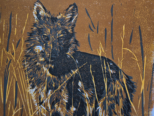 Lycas Unframed 2 - 9x11 inch Reduction Linocut Print